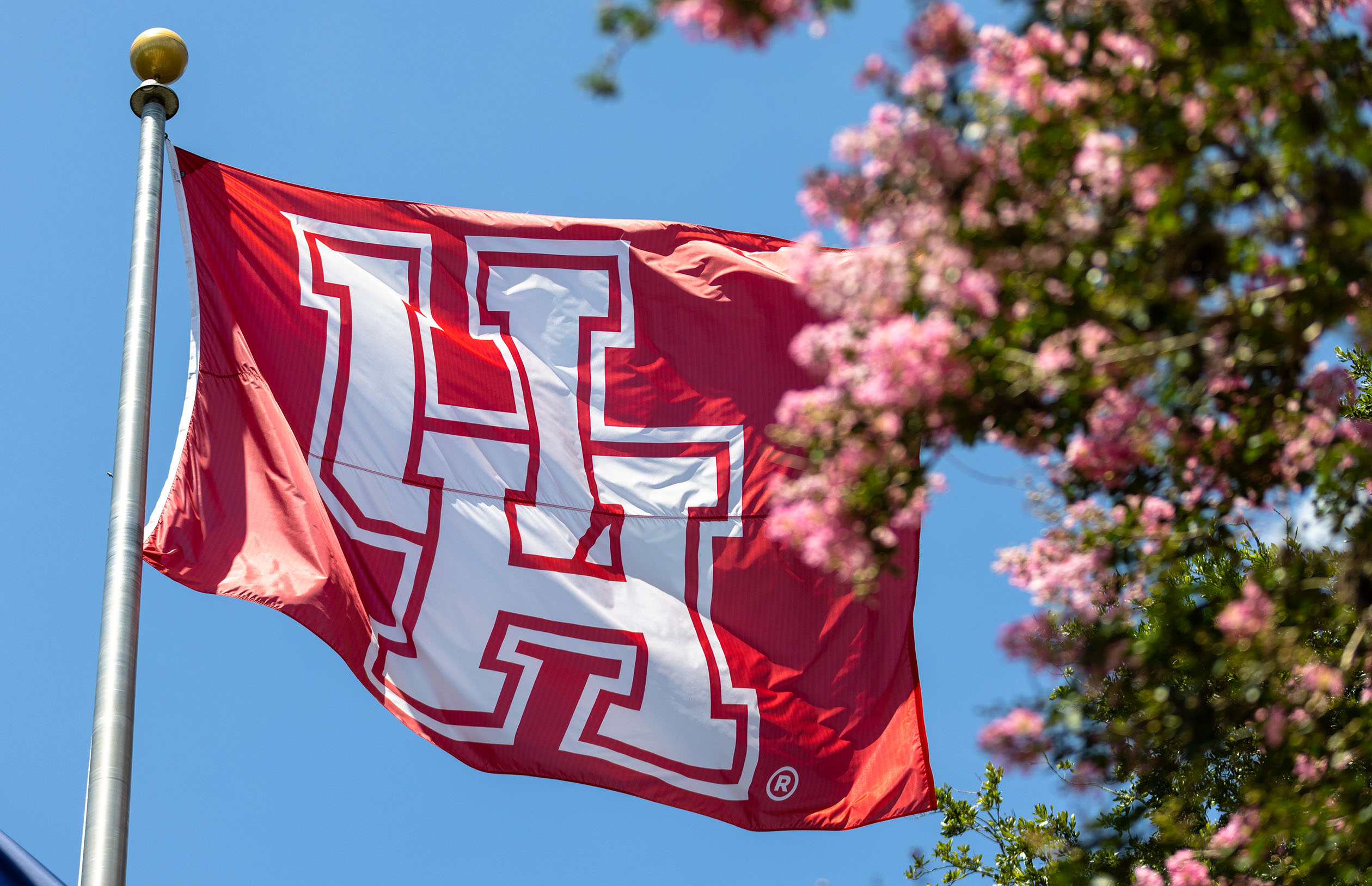 Flying UH Flag