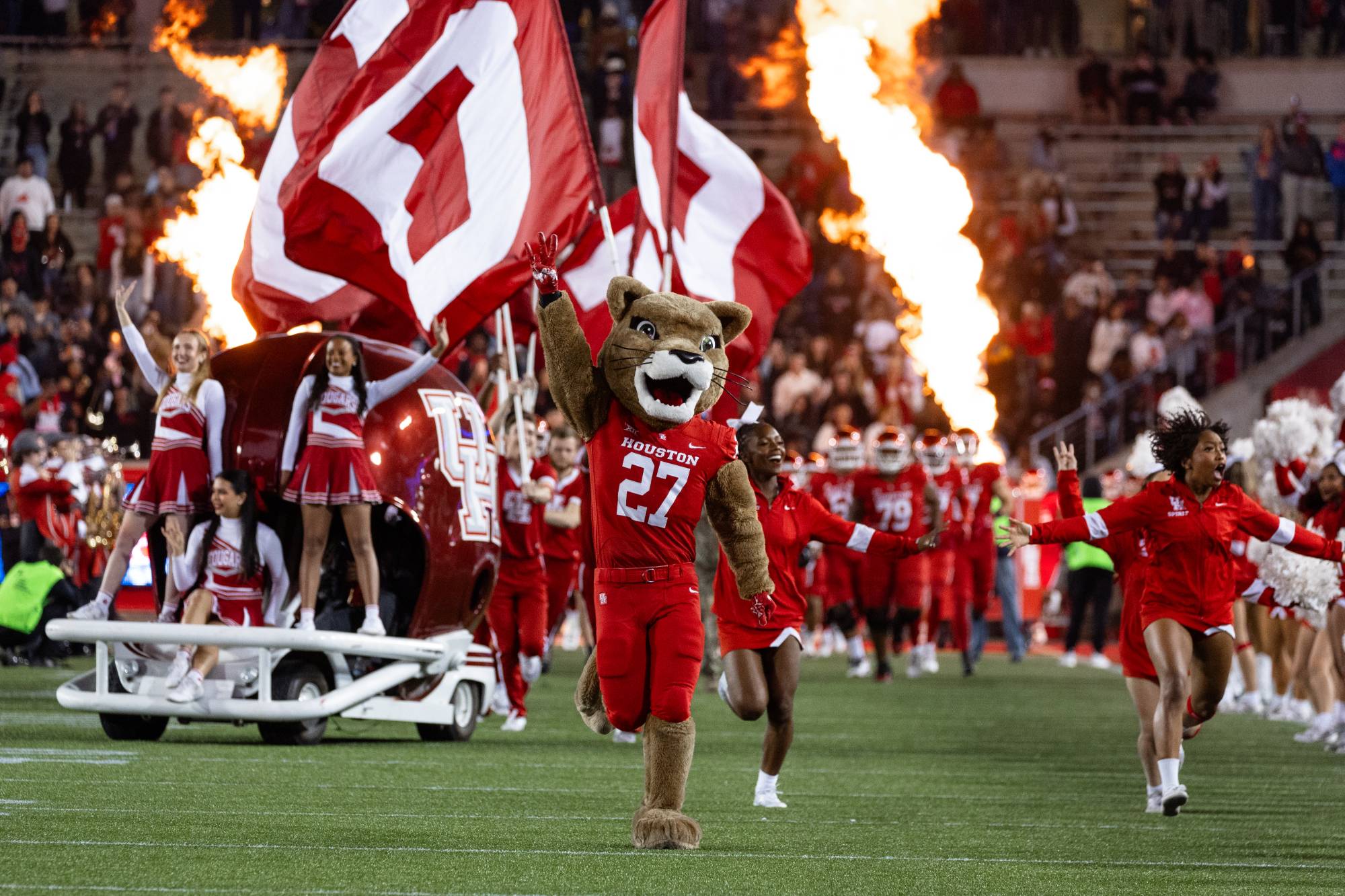 picture of Shasta at UH football game