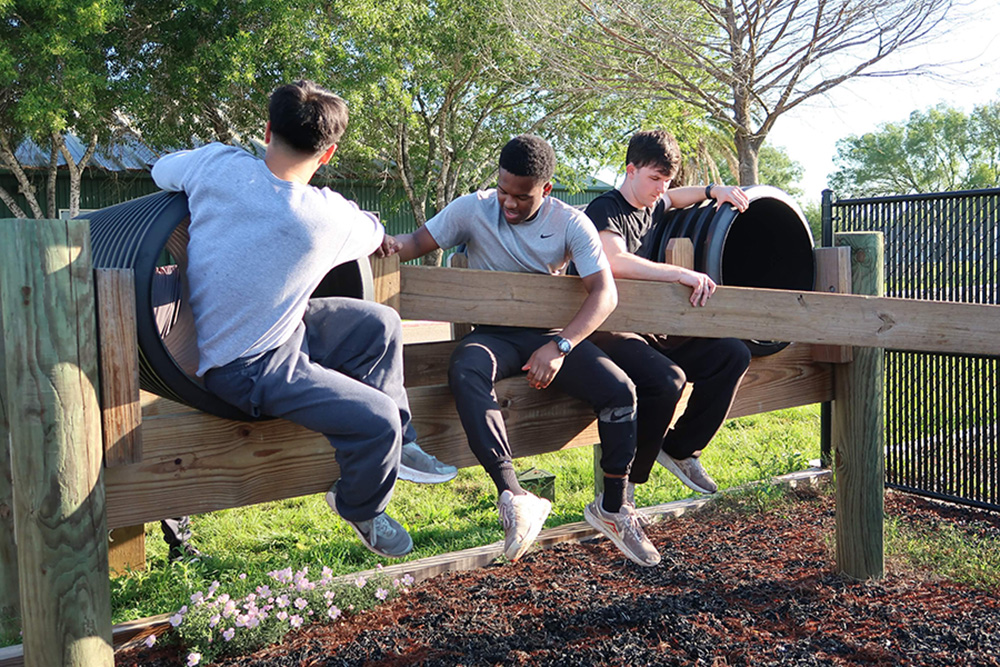 Training in Action 1