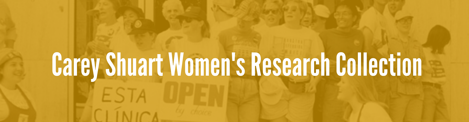 /class/ctr-public-history/projects/100-years-of-stories/shuart_womens_research-1.png