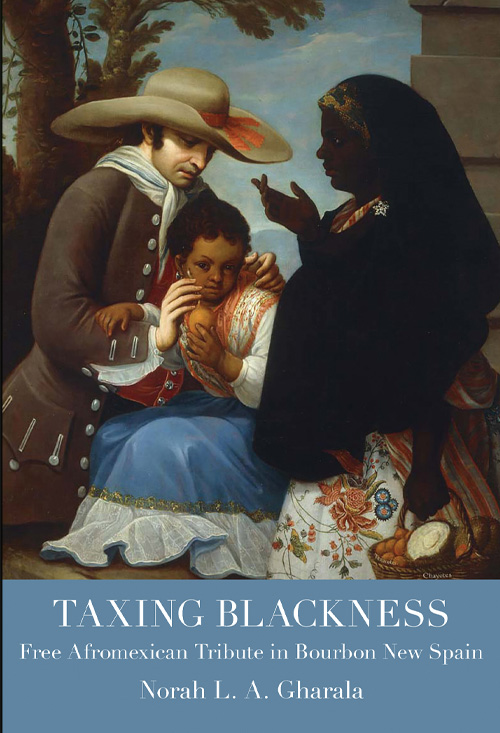 Taxing Blackness