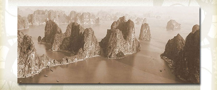 /class/mcl/vietnamese/_images/feature/Home_Banner.jpg