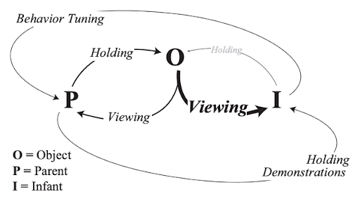 orbital