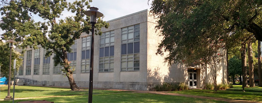 Cognitive Development Lab