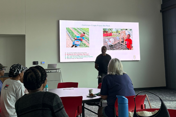 Common Crops of the Past