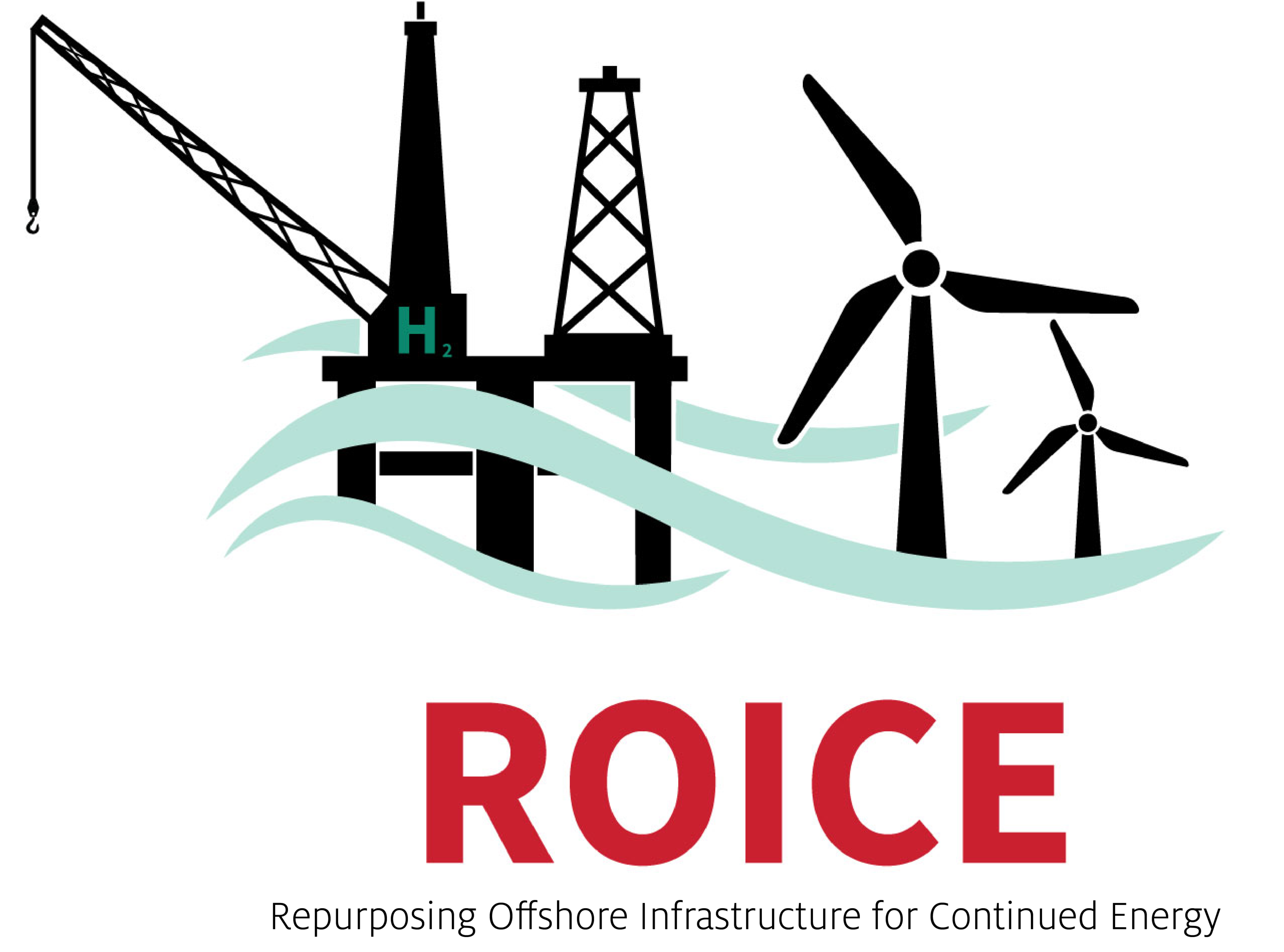 ROICE Logo