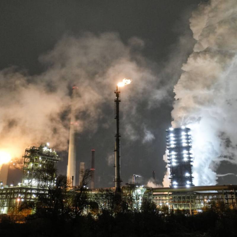 Examining carbon in Houston plants