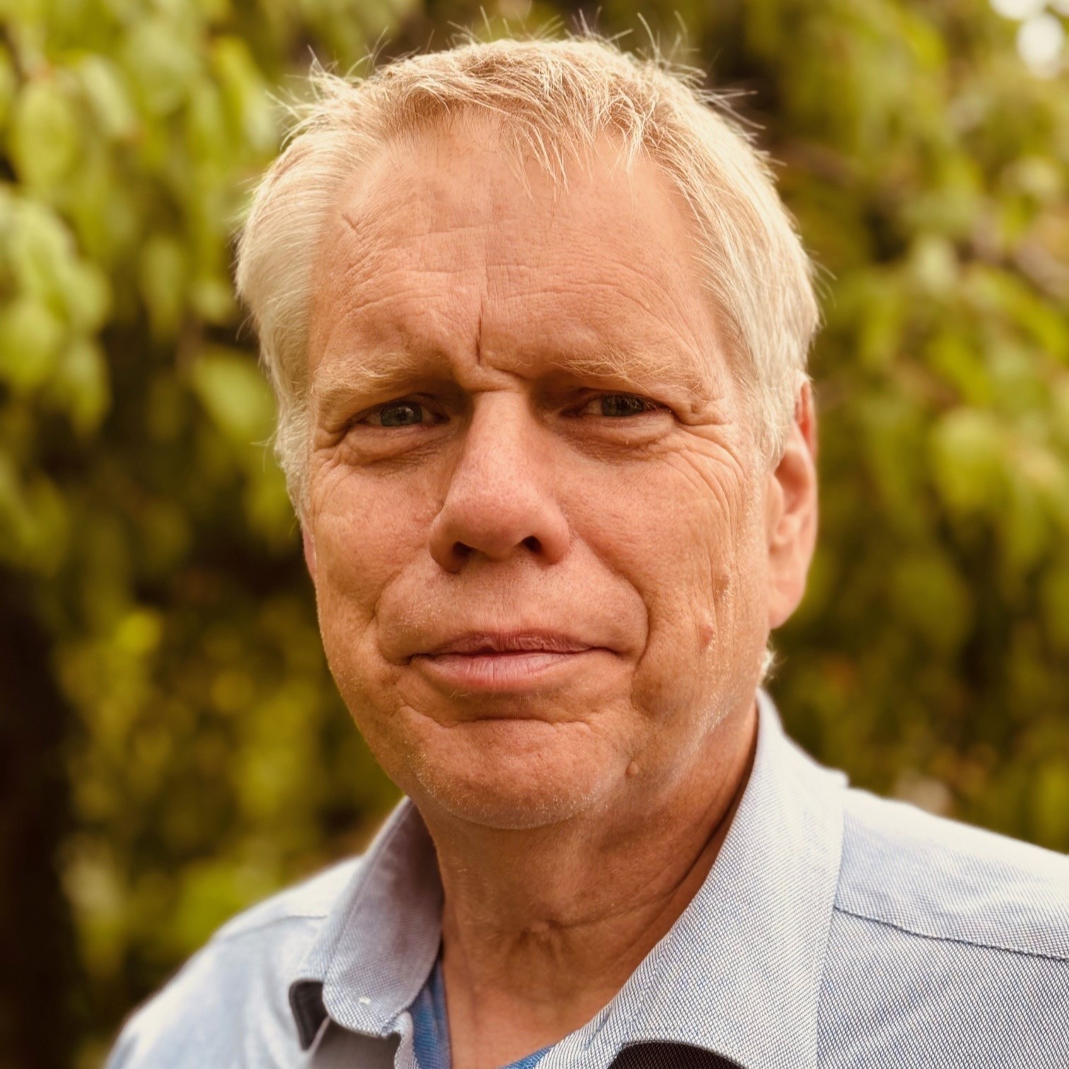 David Saul