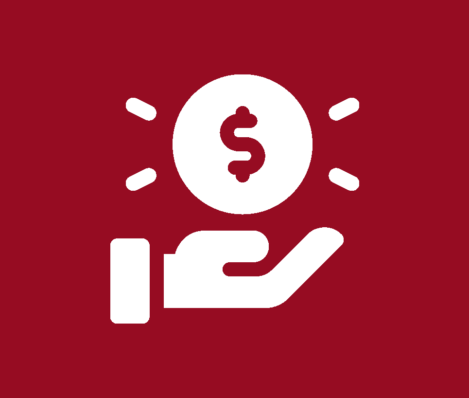 funding icon