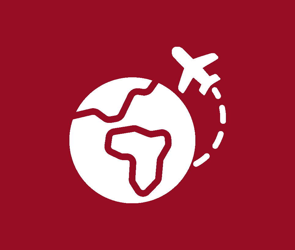 airplane icon