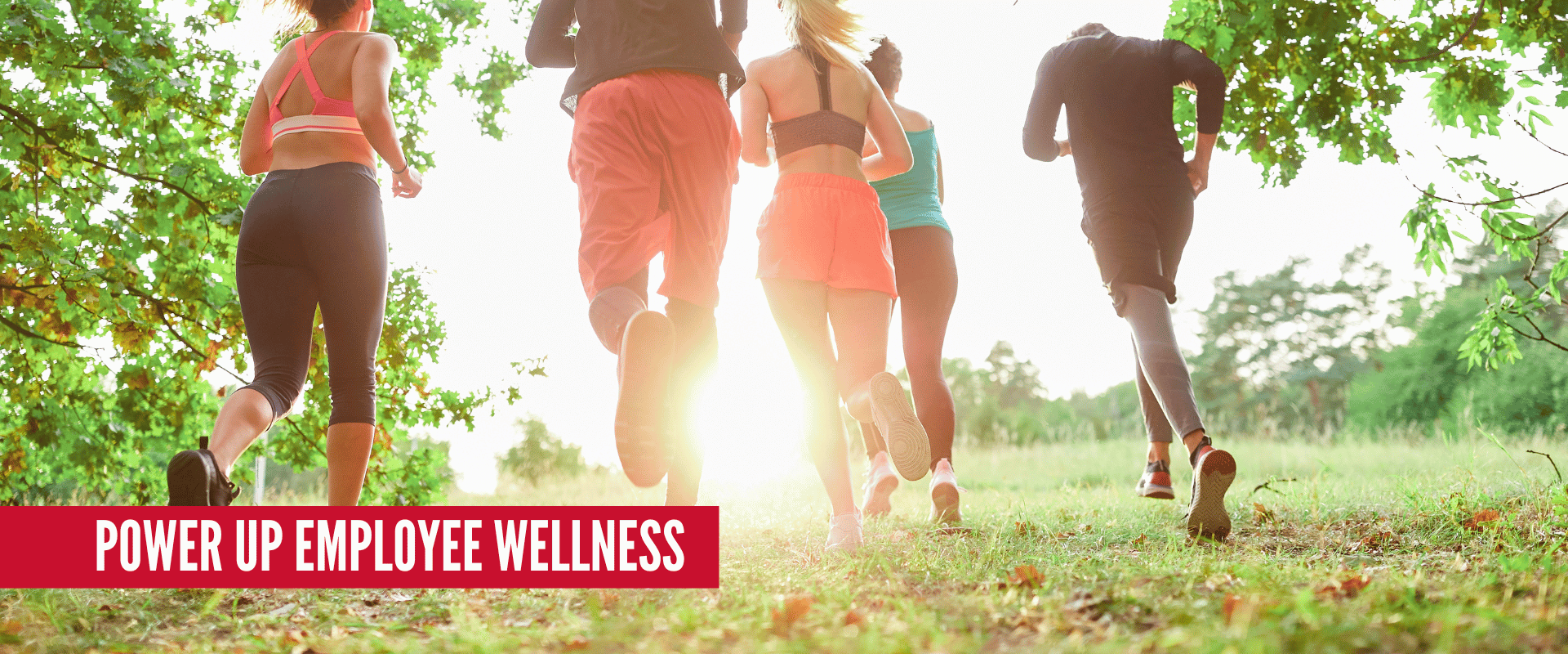 Power Up Employee Wellness