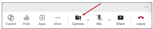 Add Video to Call on a Mac