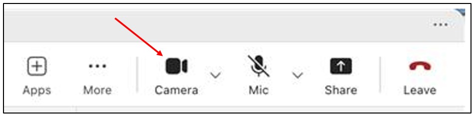 End Video Call on a Mac