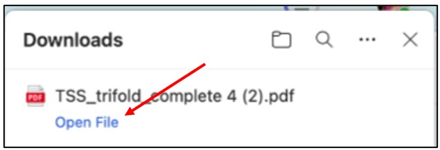 Save a File on a Mac 2