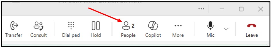 Start a Group Call Step 1