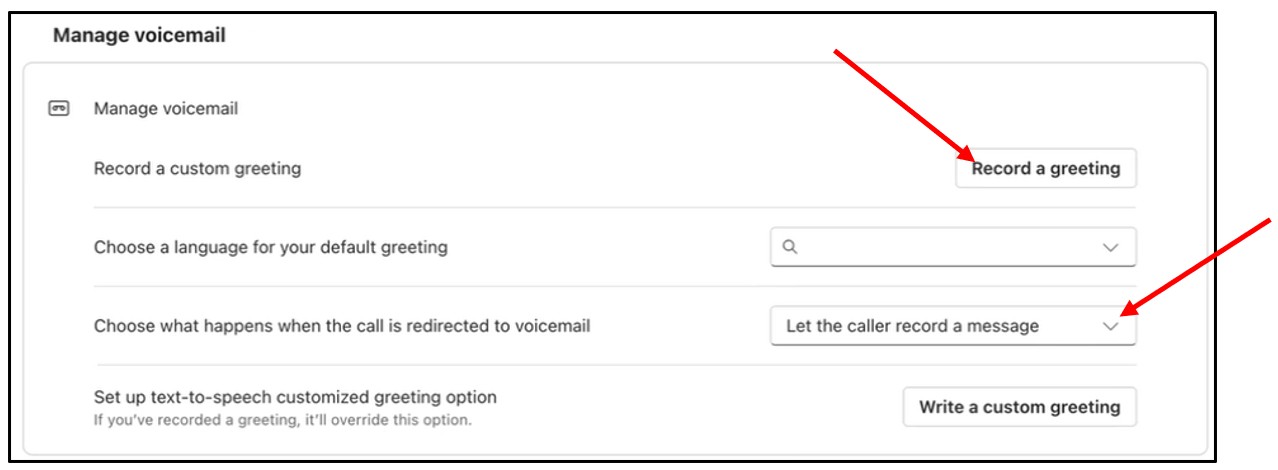 Set Up Voicemail