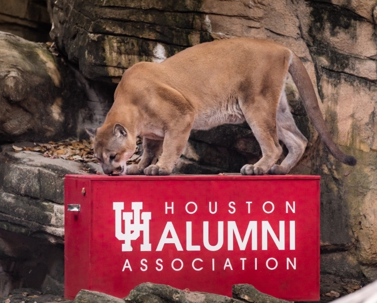 Shasta on the box of senior rings