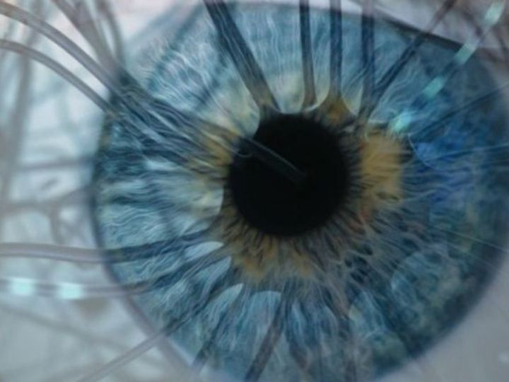 Cells and genes in eye