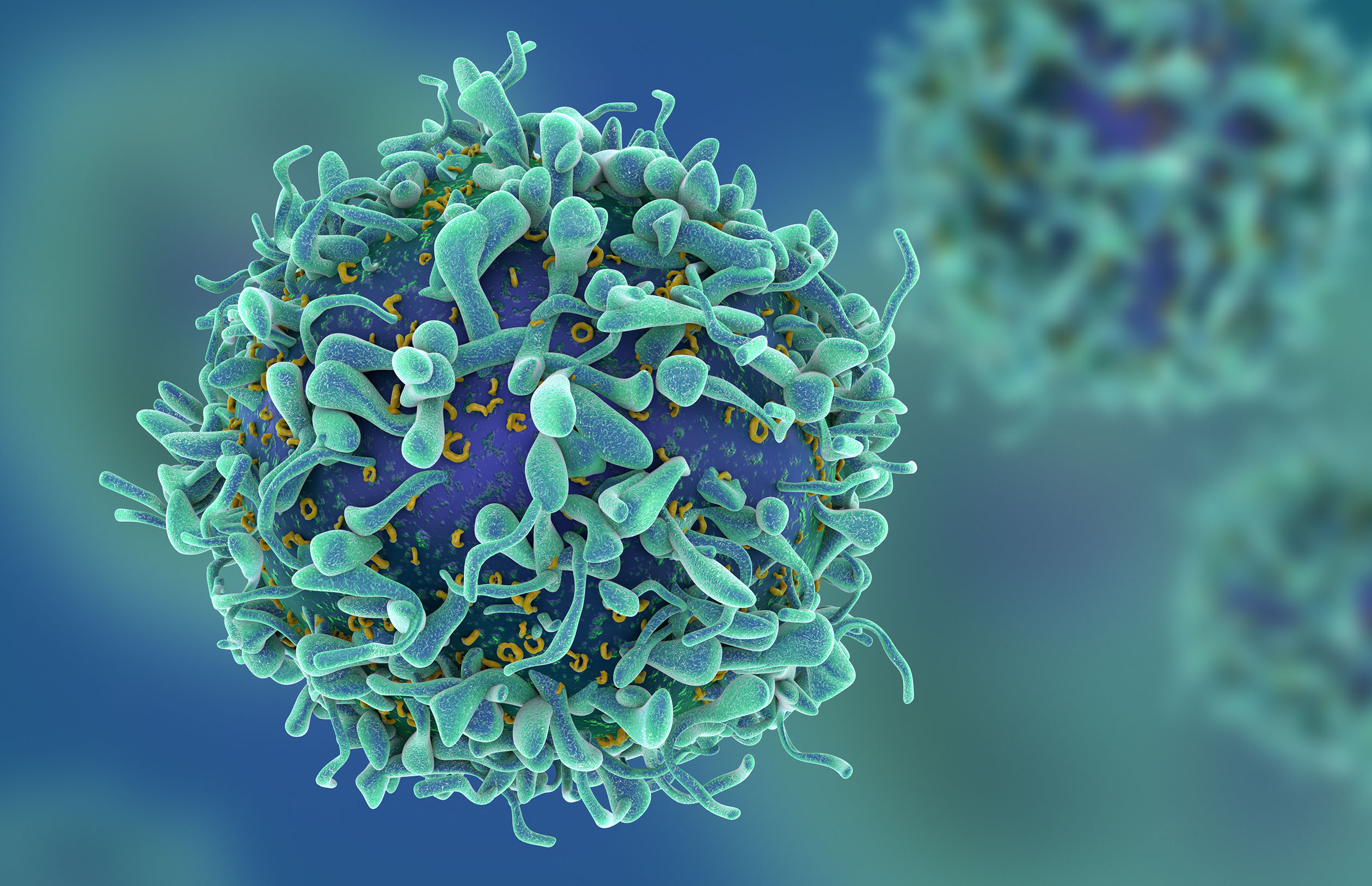 Microscopic view of a T cell covered in protruding membrane structures against a blurred blue background.