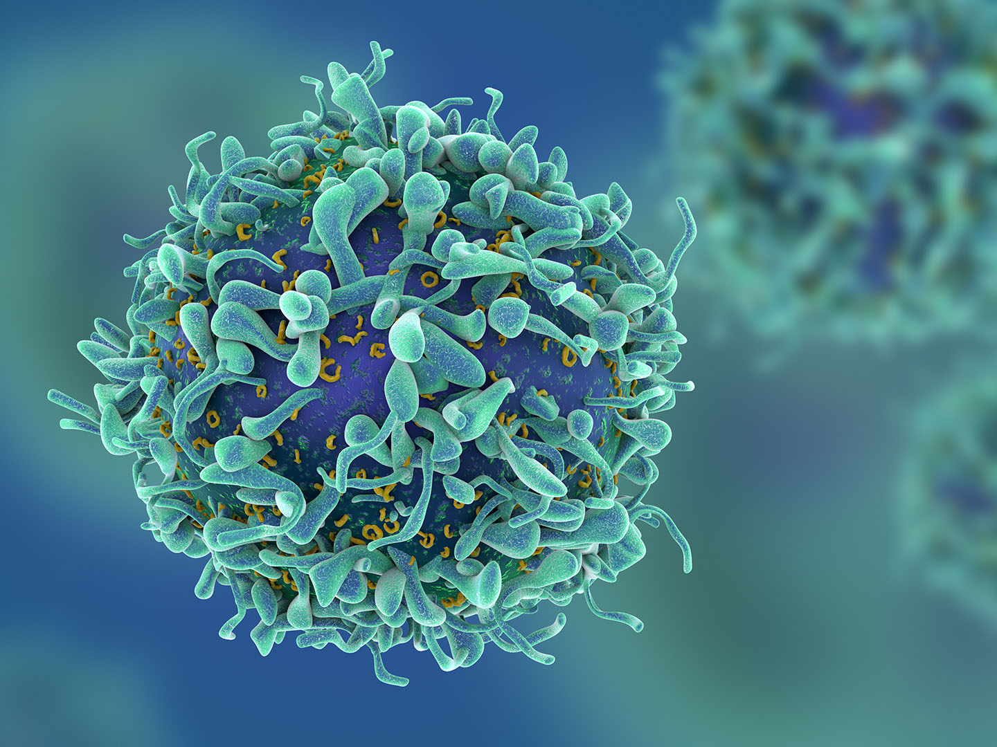 Microscopic view of a T cell covered in protruding membrane structures against a blurred blue background.
