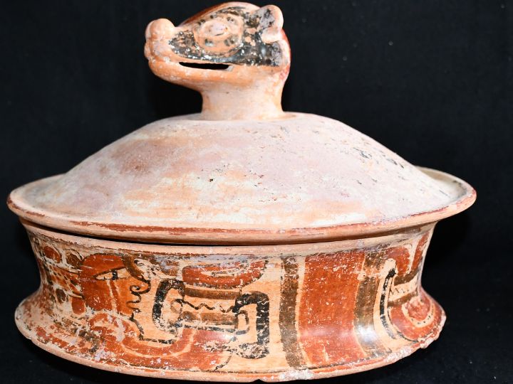 Maya pottery basal flange bowl with a coatimundi head 