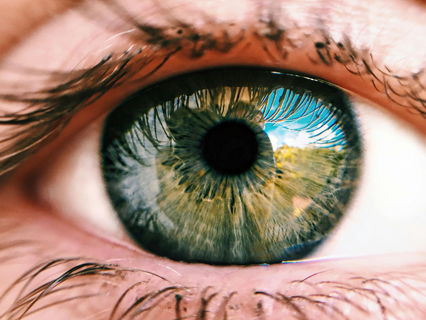 eye