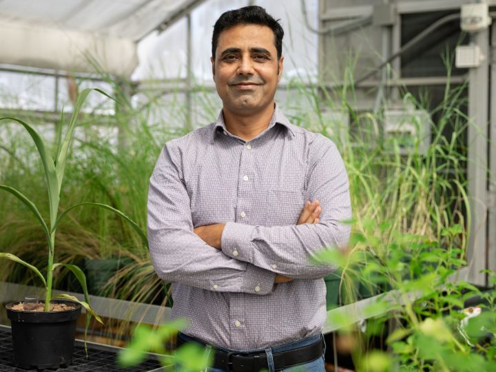 Abdul Khan standing confidently with arms crossed in a greenhouse surrounded by plants. Abdul Khan standing confidently with arms crossed in a greenhouse surrounded by plants.