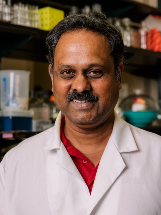 Madhan Tirumalai