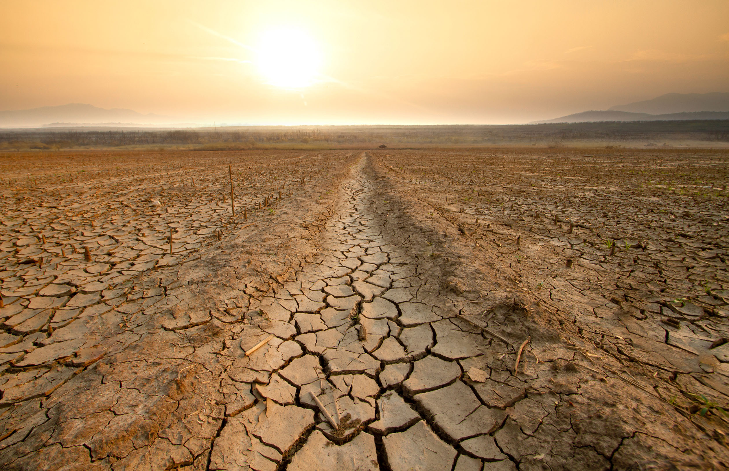 Getty image of a field in extreme drought