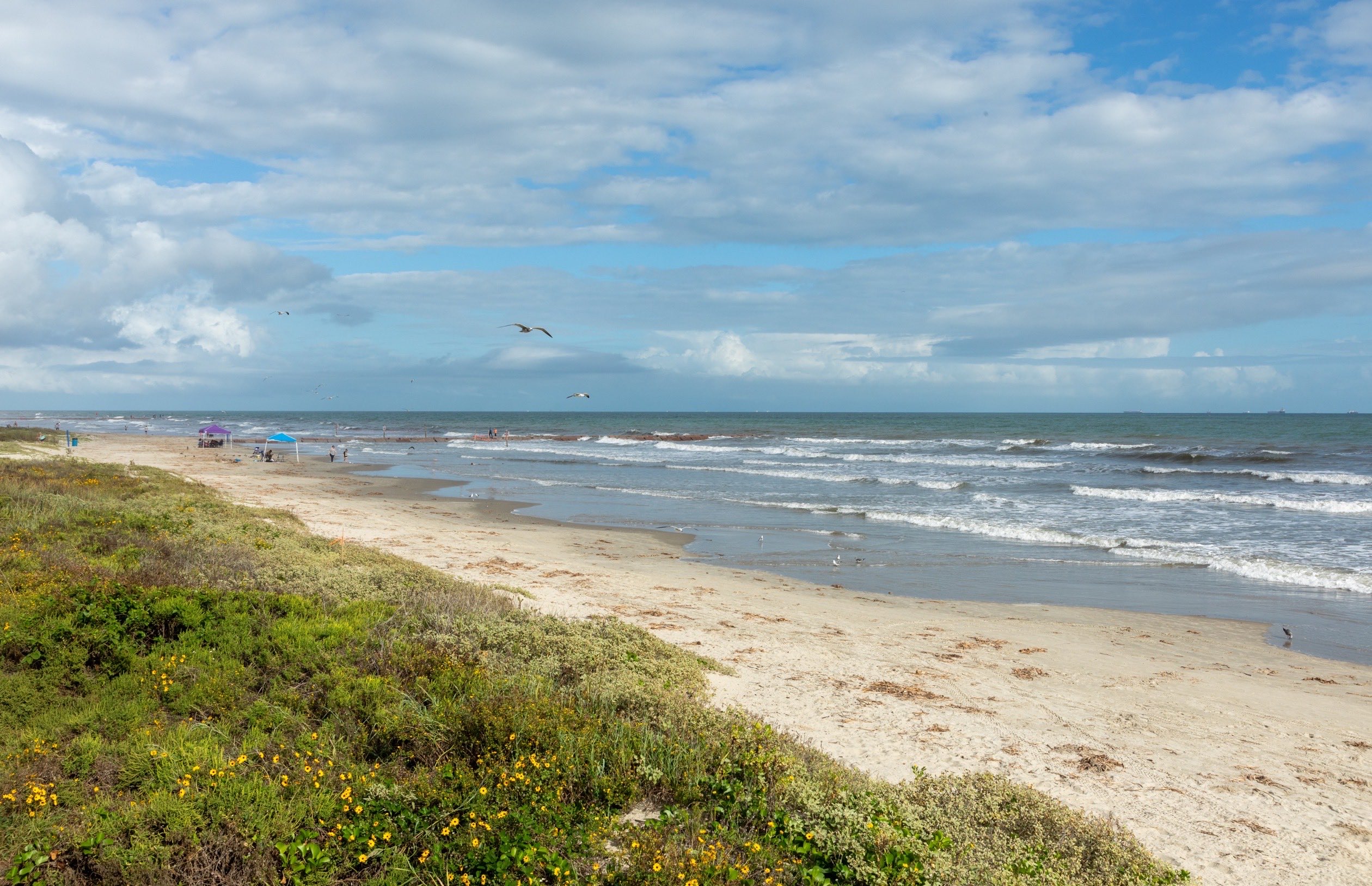 A sandy beach with waves, seagulls and people under umbrellas under a partly cloudy sky.