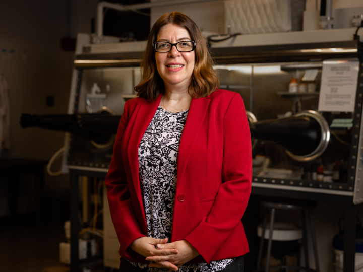 engineering professor haleh ardebili