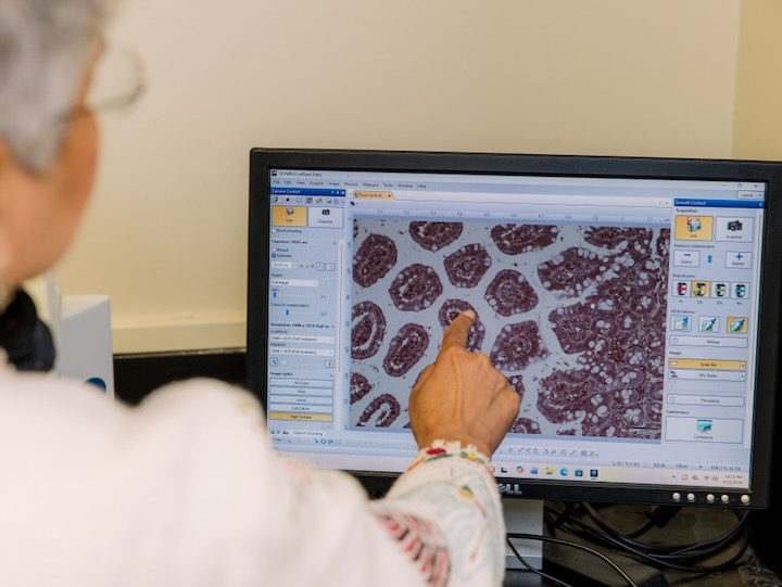uh professor seema khurana points at an image on a computer screen