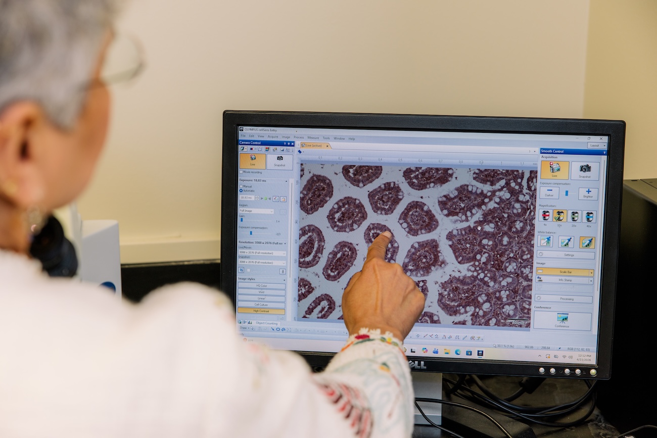 uh professor seema khurana points at an image on a computer screen