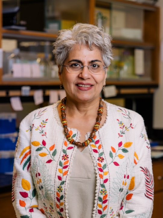 seema khurana headshot