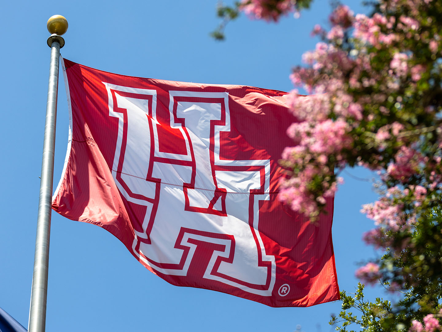 Red flag with white "UH" logo flying under blue sky near pink blossoms.