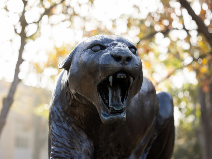 cougar statue photo