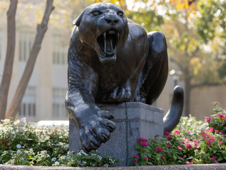 cougar statue on campus