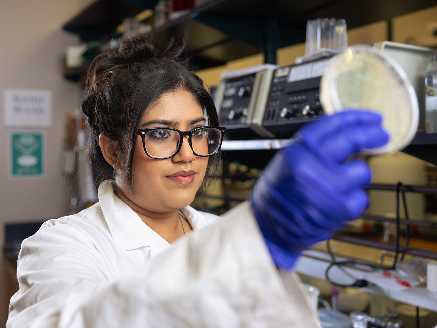 student sahar ali examines a bacteria sample