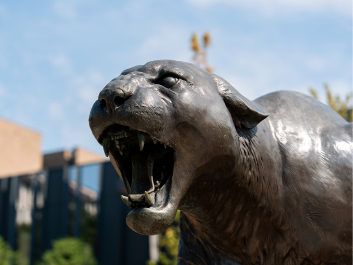 cougar statue on uh campus