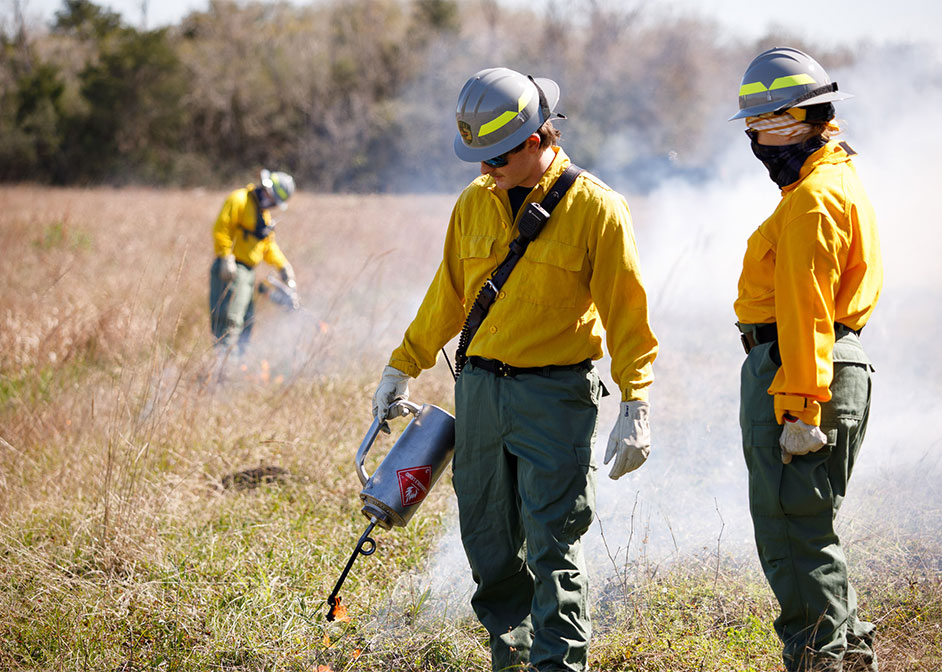 UH Coastal Center Prescribed Burn