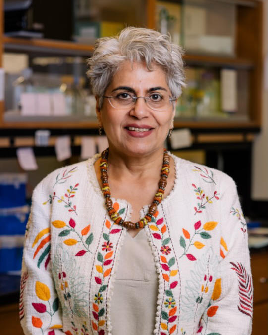 Seema Khurana, Moores Professor of biology and biochemistry at UH.