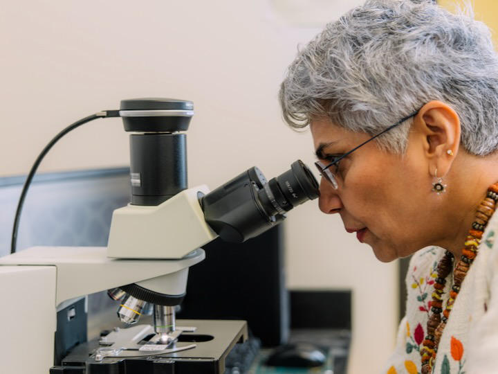 Professor Seema Khurana looks at a microscopic slide in her lab where she is researching Chron’s disease.