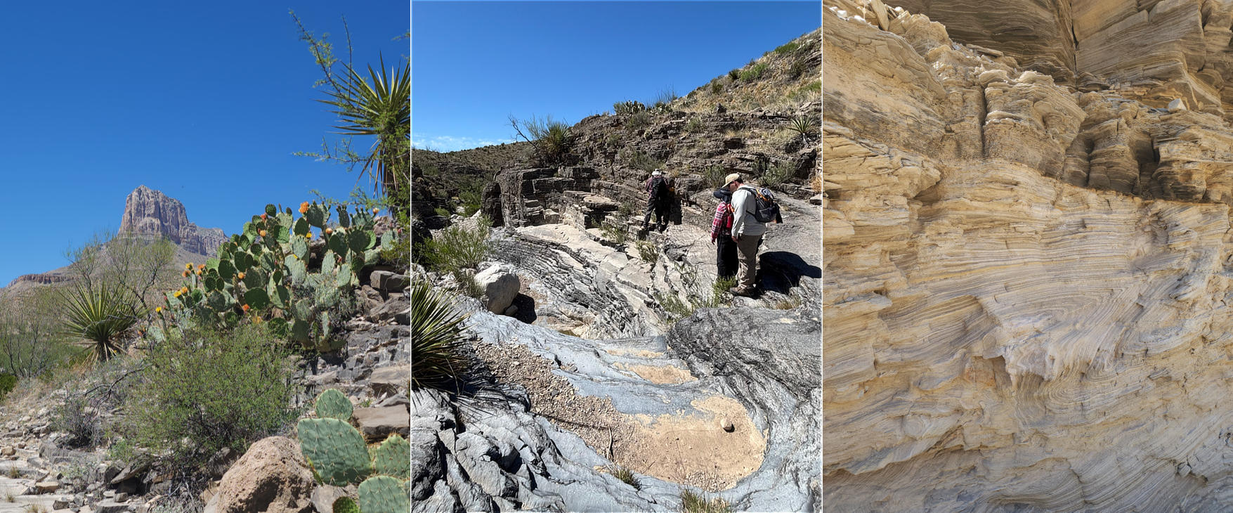 The view of El Capitan peak in Guadalupe Mountains (Left) from Rest Area Gully (Middle). Syn-sedimentary deformation exposed along the outcrop in Rest Area Gully (Right). (Image Credits: Anuska Pudasaini (Left, Right), Munirah Zulkifli (Middle))