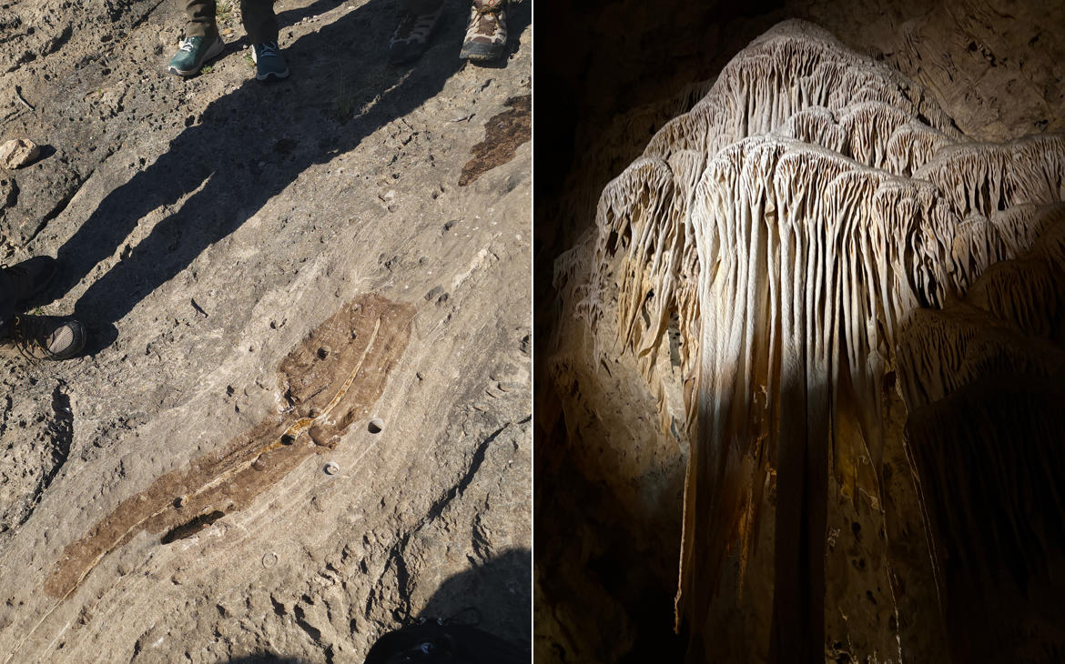 Carbonate reef fracture filled by microbial life post-deformation in McKittrick Canyon (Left). Carbonate cave deposits in Carlsbad Caverns (Right). (Image Credit Left to Right: Anuska Pudasaini, Julia Wellner)