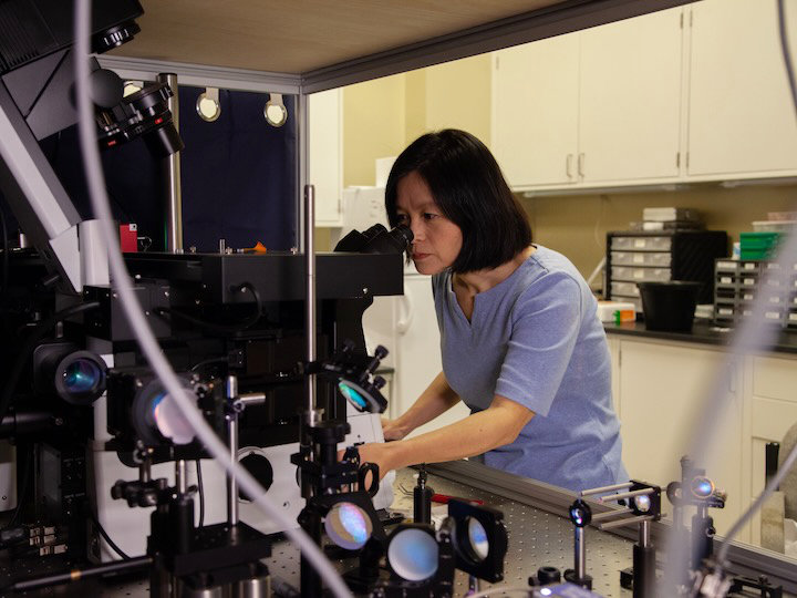 Chemistry Professor Yuhong Wang works in a University of Houston lab in 2023.