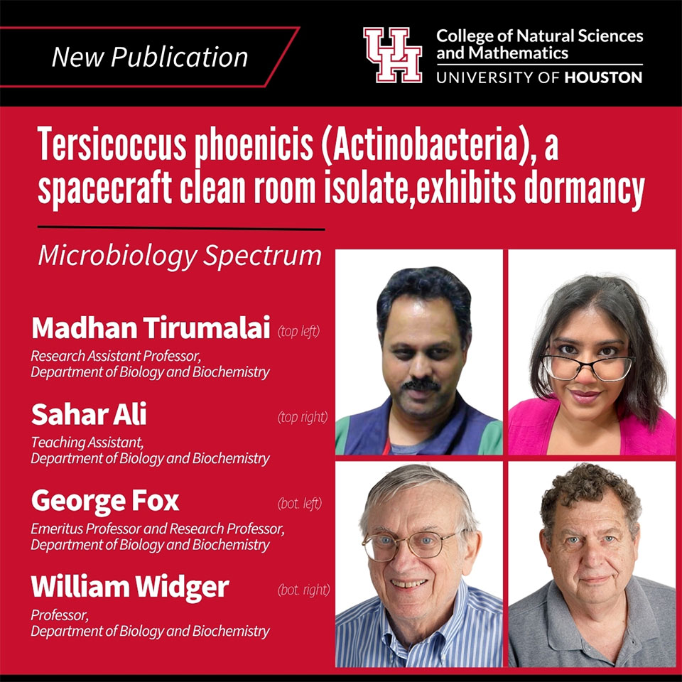 Tersicoccus phoenicis (Actinobacteria), a spacecraft clean room isolate, exhibits dormancy