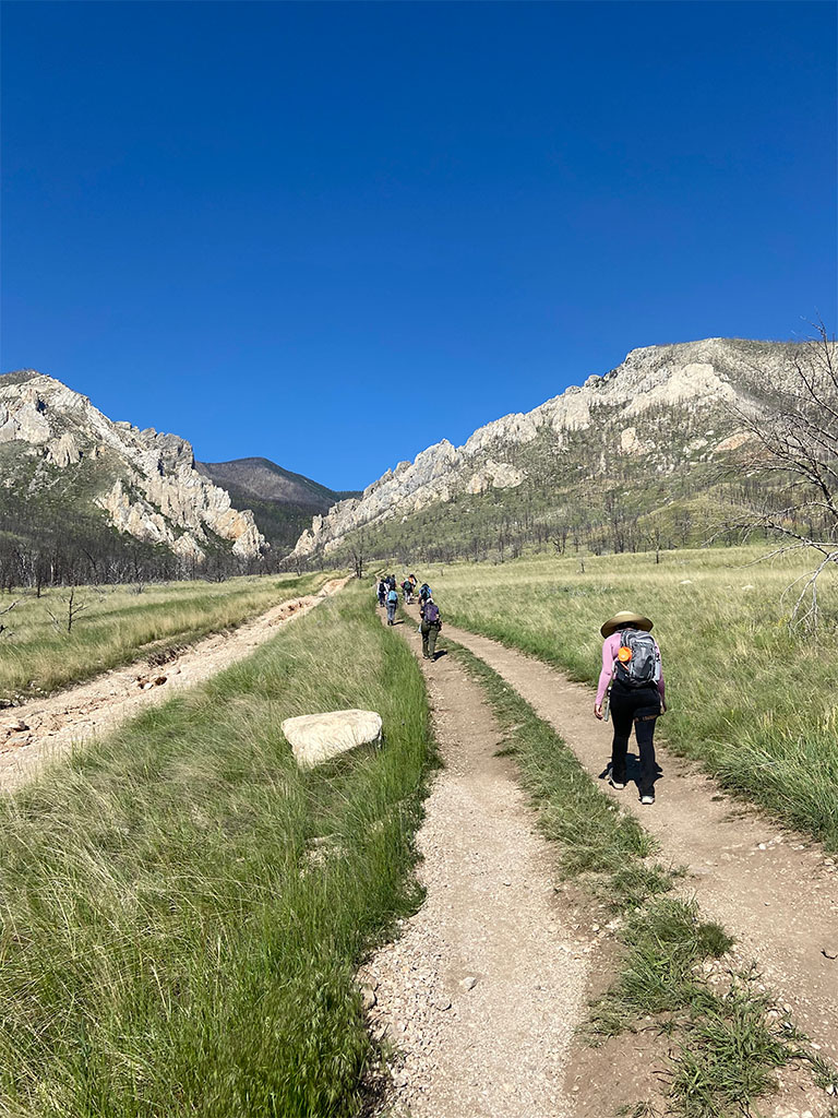 Students set off on the Grove Creek “death march.” Photo credit: Jack McLaughlin, TA