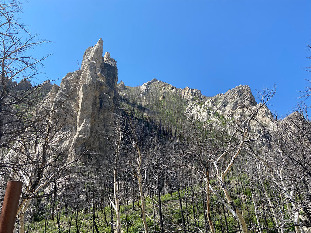 A carbonate unit that has been turned on its side from regional tectonic forces. Photo credit: Jack McLaughlin, TA