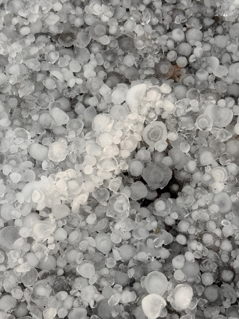 Hail around the survey site.