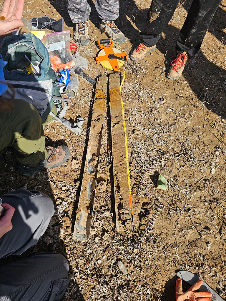 First view of the freshly cut core and its secrets. Photo credit: Danielle Pace